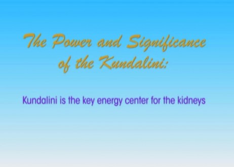 Soul Mind Body Medicine for Developing the Kundalini with Master Sha (Part 1 of 6)