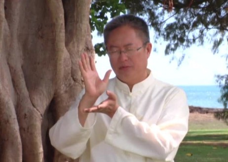 Soul Healing for Digestive System with Master Sha